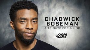 Angelina Jolie, Paul Rudd, Mark Ruffalo & More Celebs Honors Chadwick Boseman