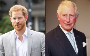 Prince Harry Prince Charles