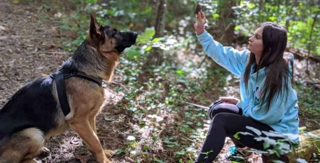 90 day fiance Julia Trubkina dog training