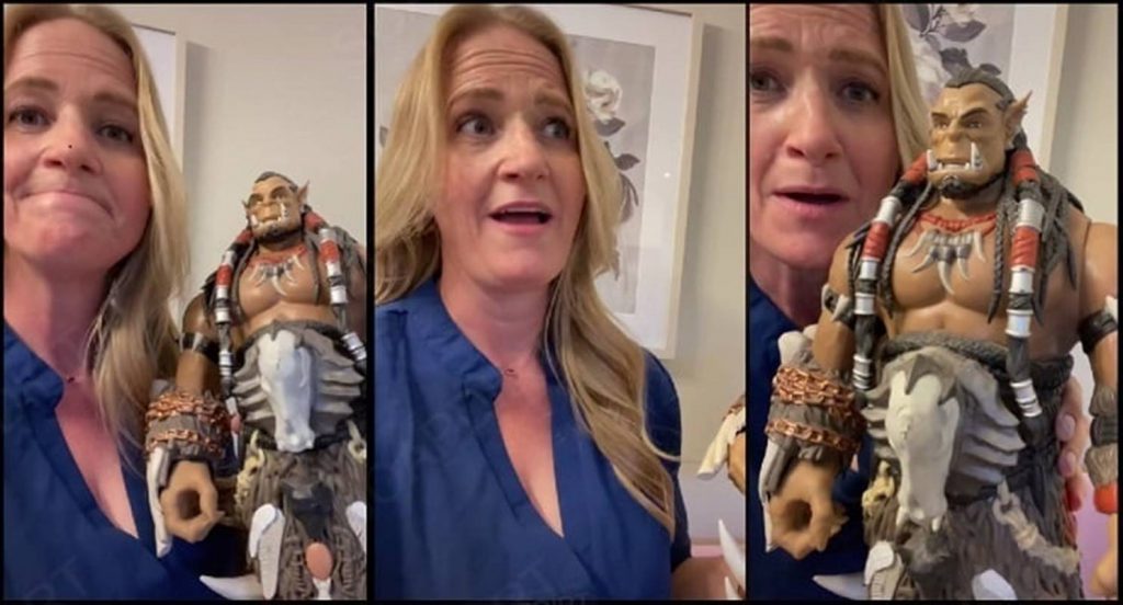 Sister Wives Christine Brown